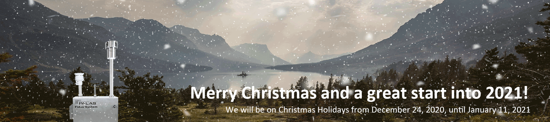 Merry Christmas- Snowy Fidas